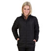 Picture of Ladies Zip Off Sleeve Puffer Jacket