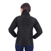 Black Back