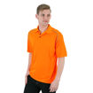 Picture of High Visibility Golfer
