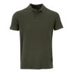 Olive Front