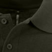 Olive detail